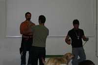 Immagine 213,55Kb